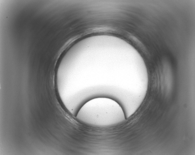 X0000068861322200605051033