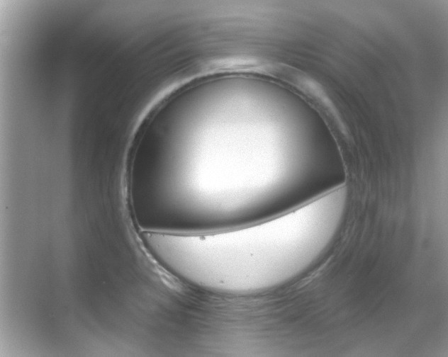 X0000068861328200605051033