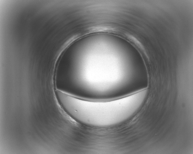 X0000068861330200605051033