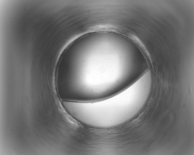 X0000068861336200605051033