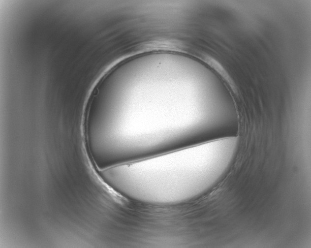 X0000068861339200605051034
