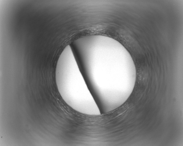X0000068861346200605051033