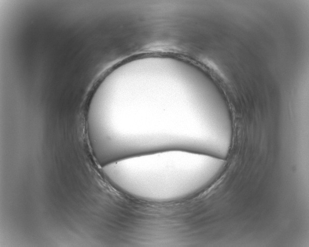 X0000068861358200605051033