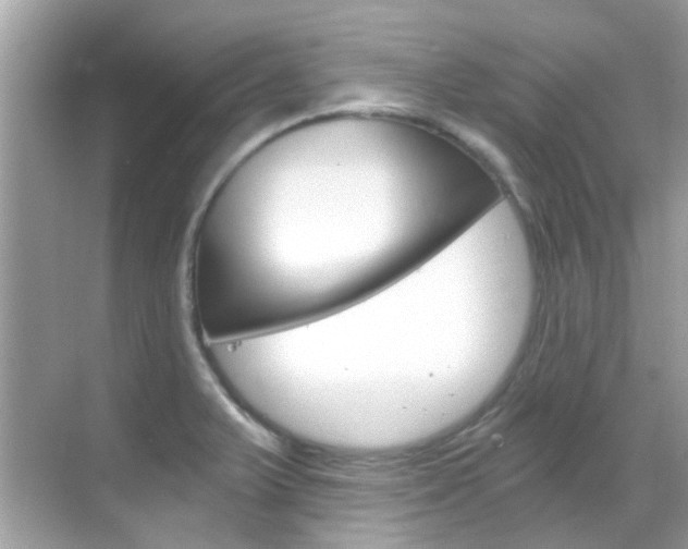 X0000068861375200605051032