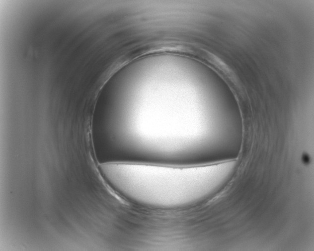X0000068861377200605051032