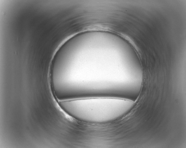X0000068861387200605051032