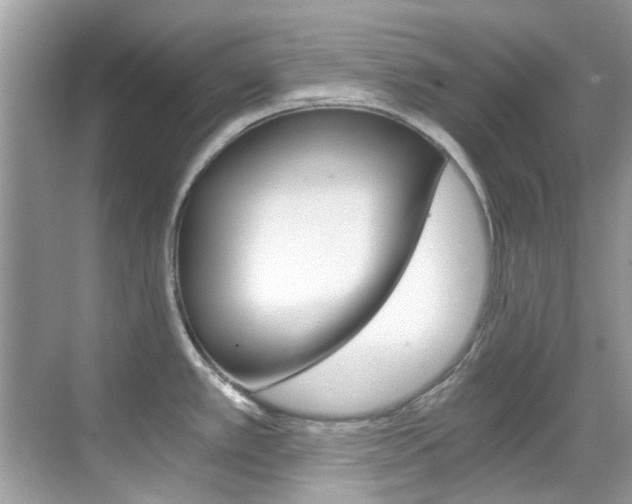 X0000068861389200605051032