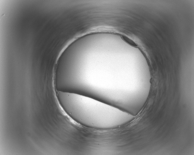 X0000068861390200605051032