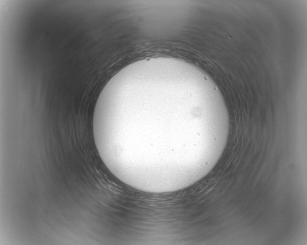 X0000068861394200605051031