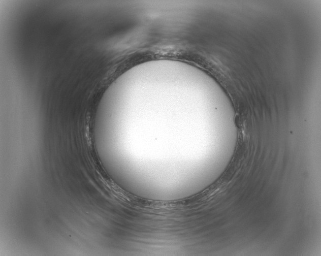 X0000068861396200605051031
