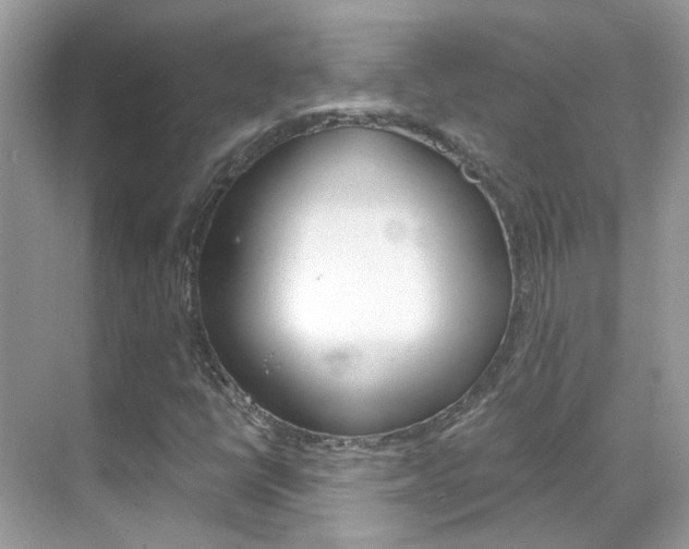 X0000068861398200605051031