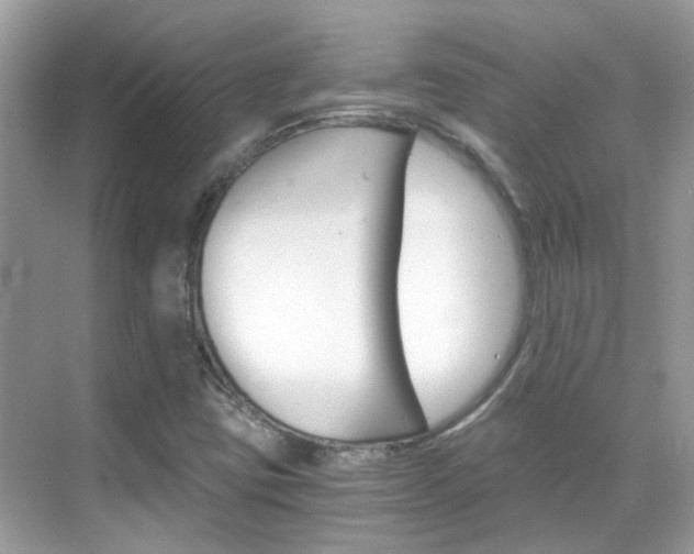 X0000068861403200605051031