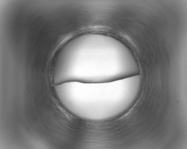 X0000068861405200605051031