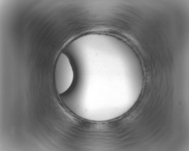 X0000068861409200605051031