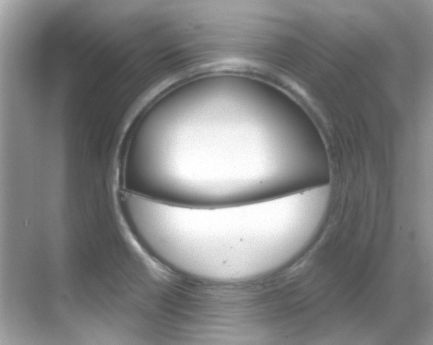 X0000068861418200605051032