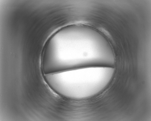 X0000068861420200605051032