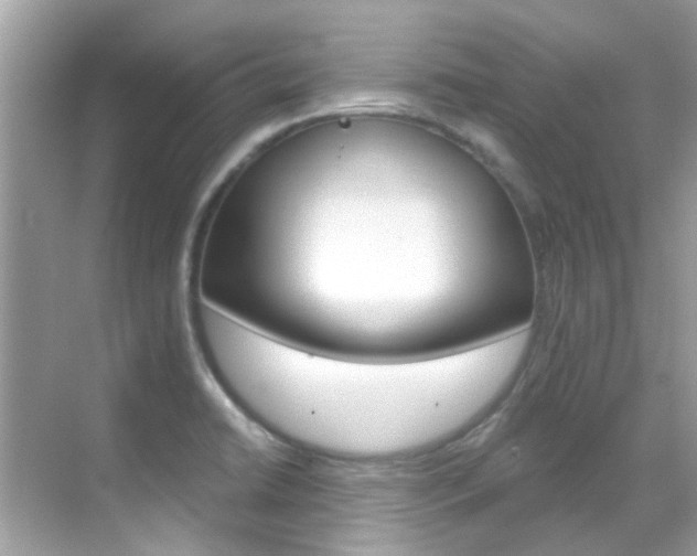 X0000068861422200605051032