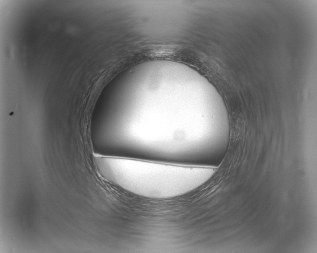 X0000068861441200605051031