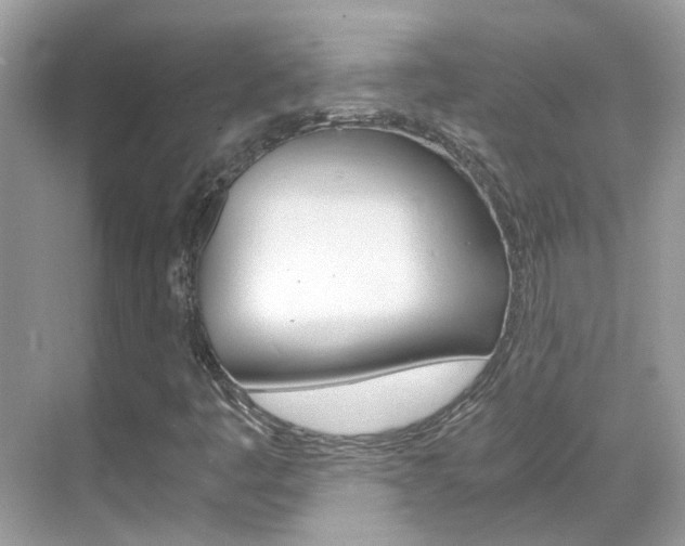 X0000068861445200605051031