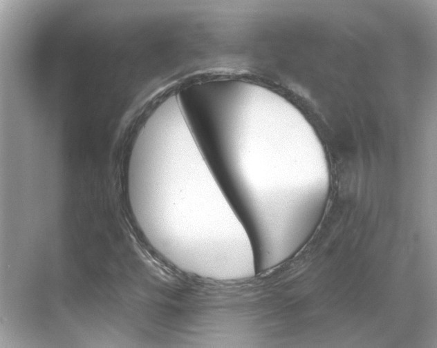 X0000068861448200605051031