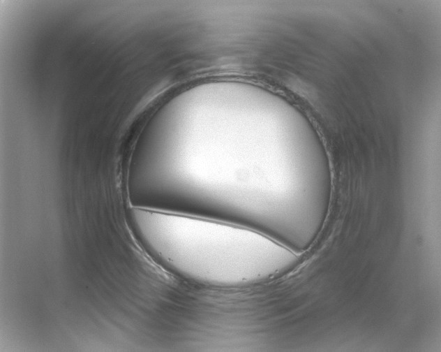 X0000068861450200605051031