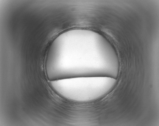 X0000068861451200605051031