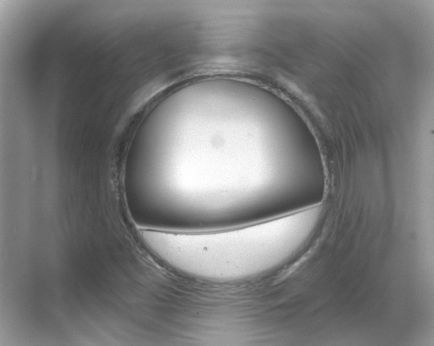 X0000068861453200605051031