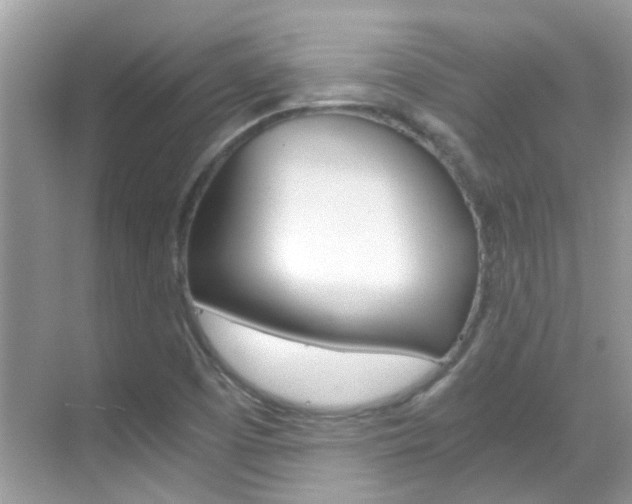X0000068861457200605051031