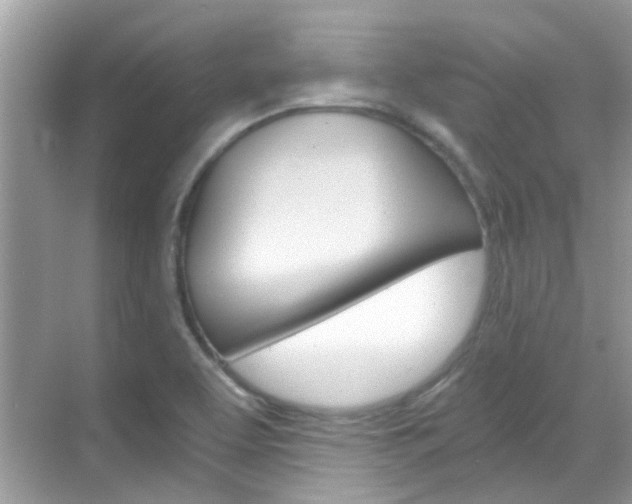 X0000068861463200605051031