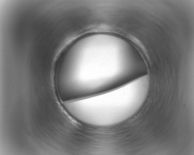 X0000068861464200605051031