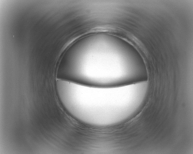 X0000068861465200605051031