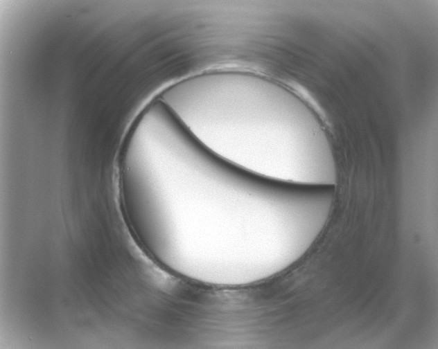 X0000068861476200605051031