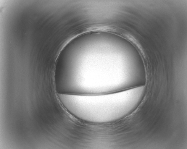 X0000068861481200605051031