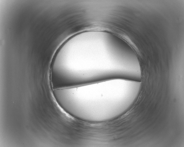 X0000068861484200605051030