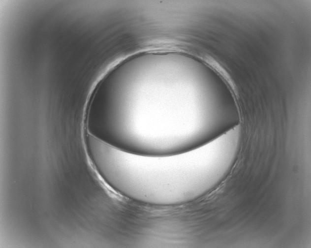 X0000068861485200605051030