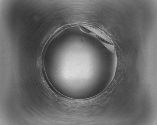 X0000068860002200605051251