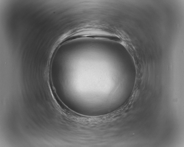 X0000068860003200605051251