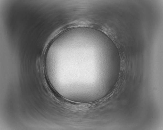 X0000068860004200605051251