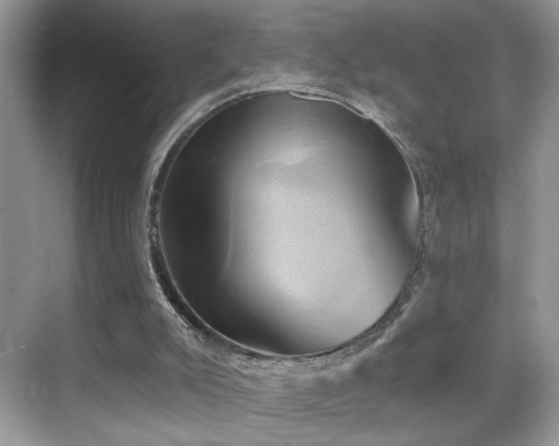 X0000068860007200605051251