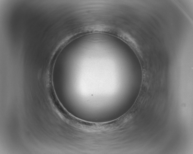 X0000068860012200605051251