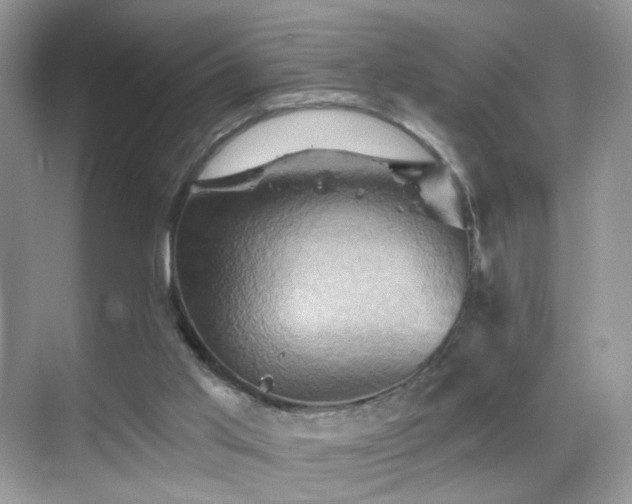 X0000068860013200605051251