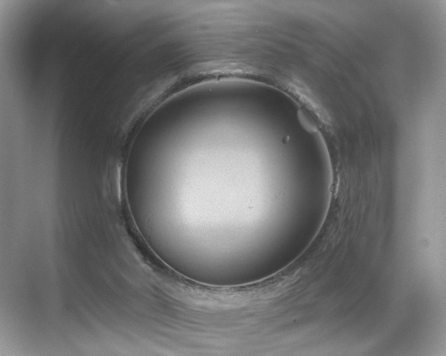 X0000068860014200605051250