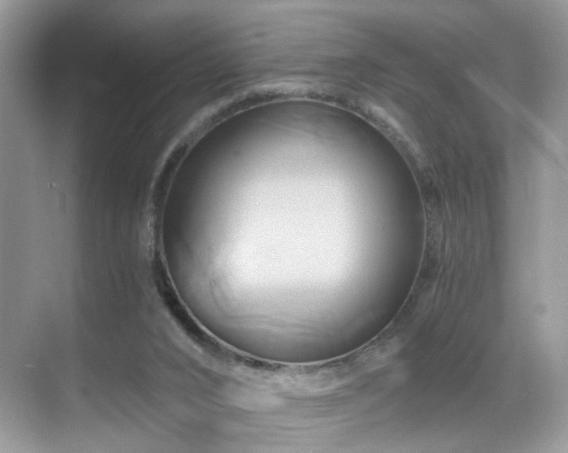 X0000068860016200605051250