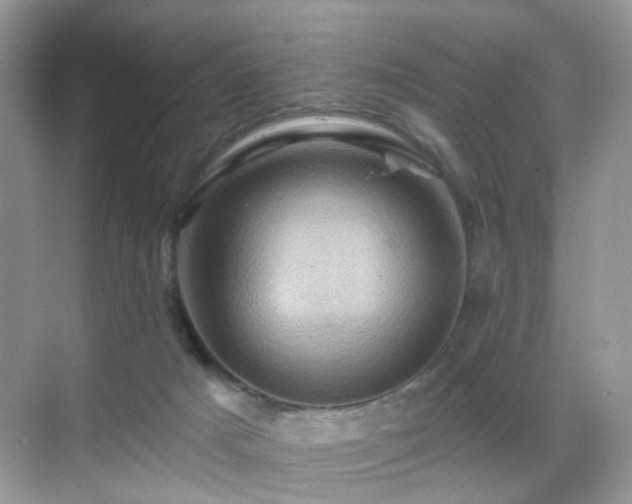 X0000068860025200605051250