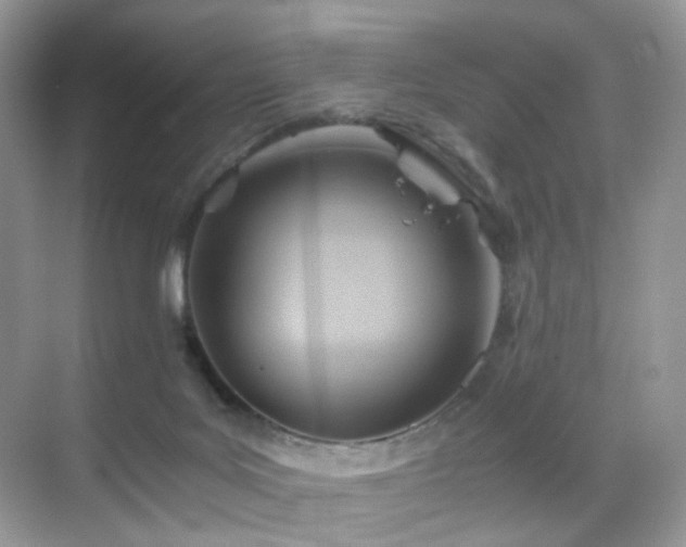 X0000068860027200605051250