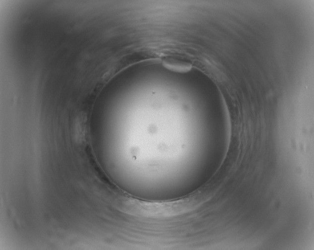 X0000068860030200605051250