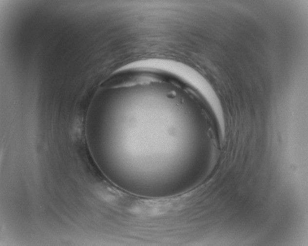 X0000068860033200605051250