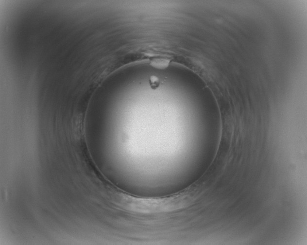 X0000068860034200605051250