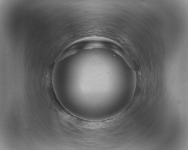X0000068860037200605051250