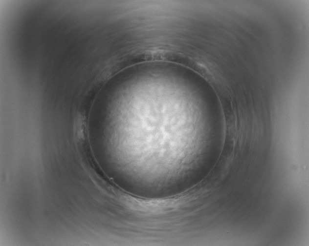 X0000068860038200605051250